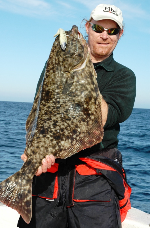 Gummifisken slår ut svenskepilken og stingsilda! 